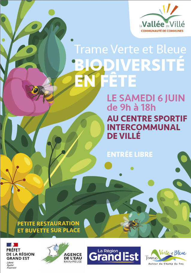 Affiche fete de la TVB